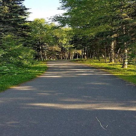 Moose Meadows- Near The Airport, Centrally Located Анкоридж Экстерьер фото