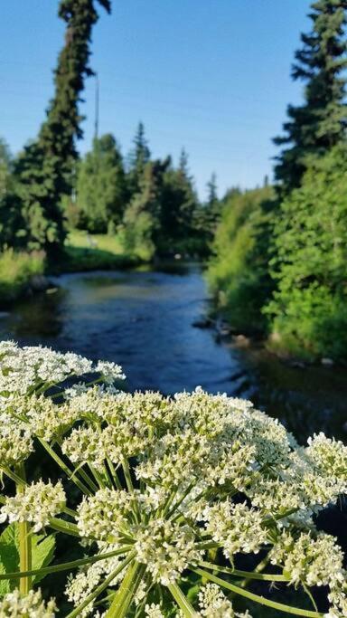 Moose Meadows- Near The Airport, Centrally Located Анкоридж Экстерьер фото