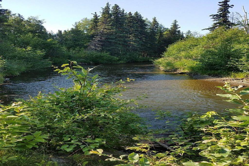 Moose Meadows- Near The Airport, Centrally Located Анкоридж Экстерьер фото
